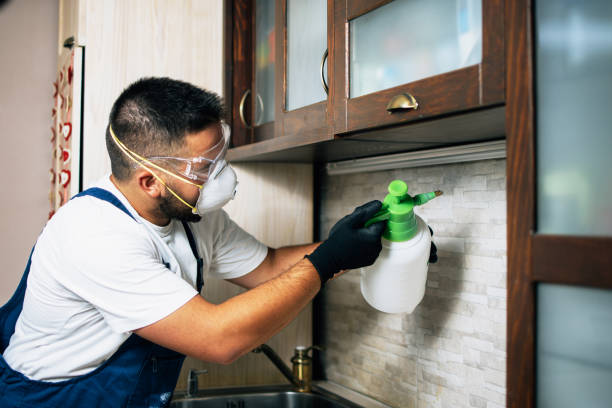 Best Commercial Pest Control Services  in Shelbyville, IN