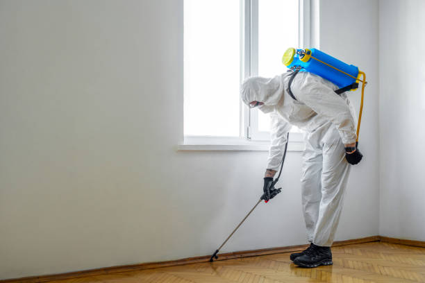 Best Best Pest Control Companies  in Shelbyville, IN