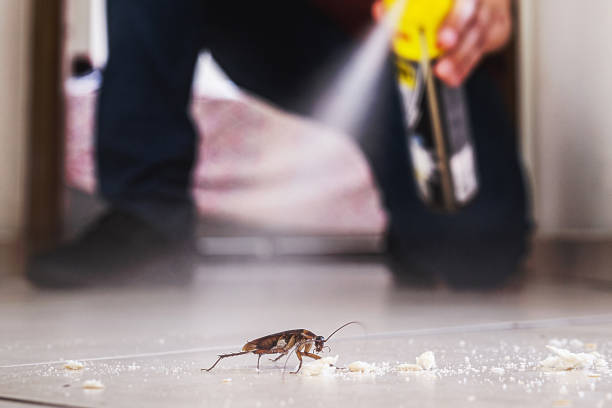 Best Pest Control for Businesses  in Shelbyville, IN